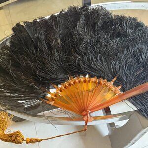 Antique ostrich feather hand fan